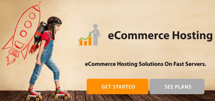 Web hosting for ecommerce websites