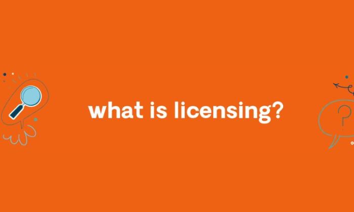 Content licensing for video streaming